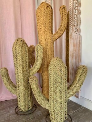 cactus-en-jonc-face-lot