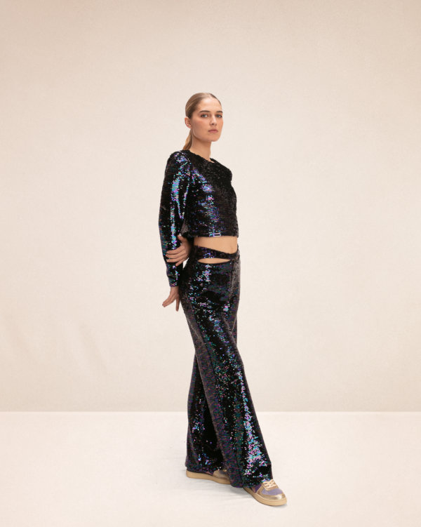 top-sequins-abba-beetle-profil